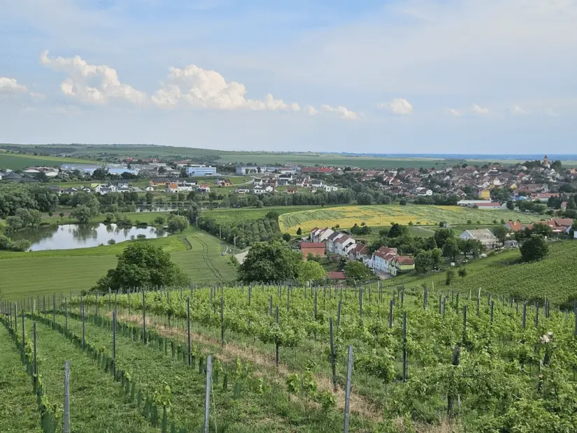Logo Appel à projets régional - résidences d'artiste en ruralité
